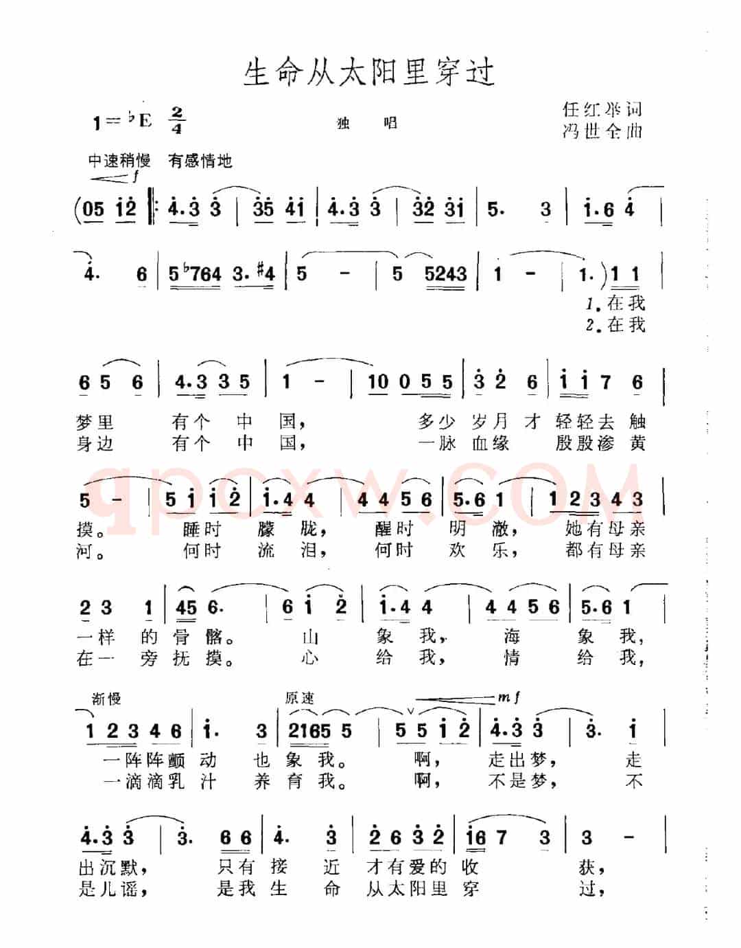 生命从太阳里穿过