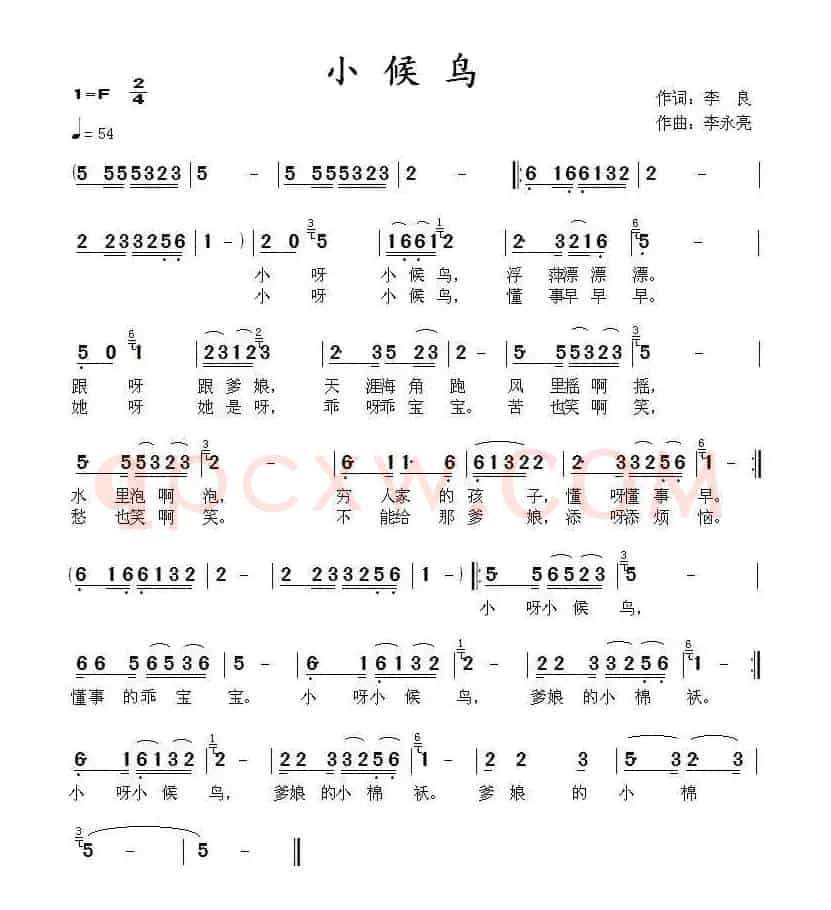 小候鸟