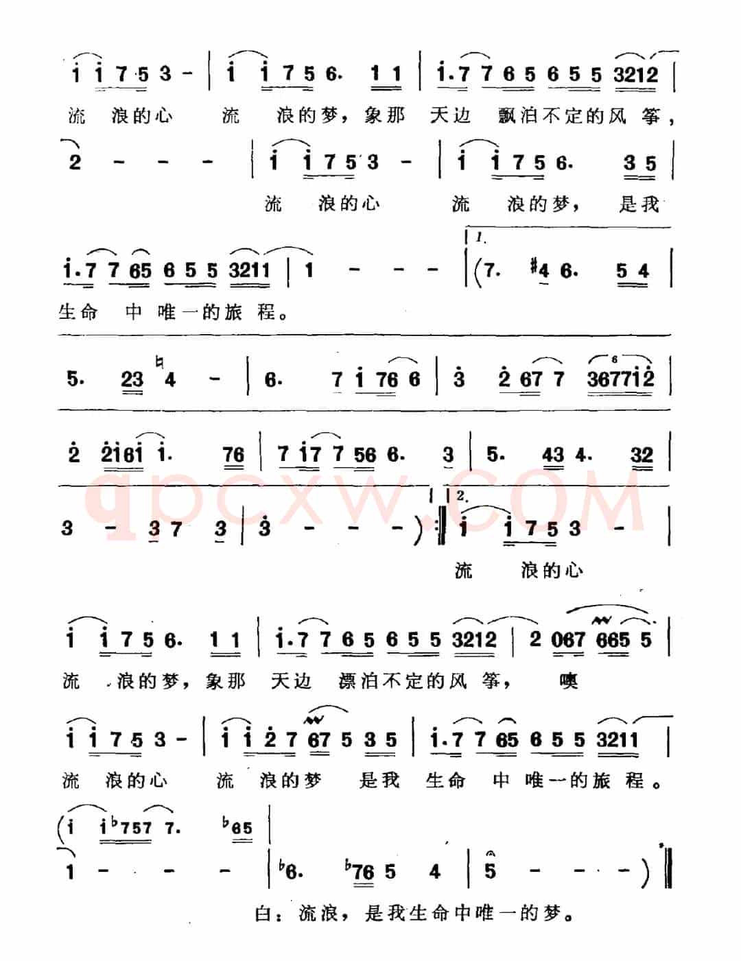 流浪的心 流浪的梦