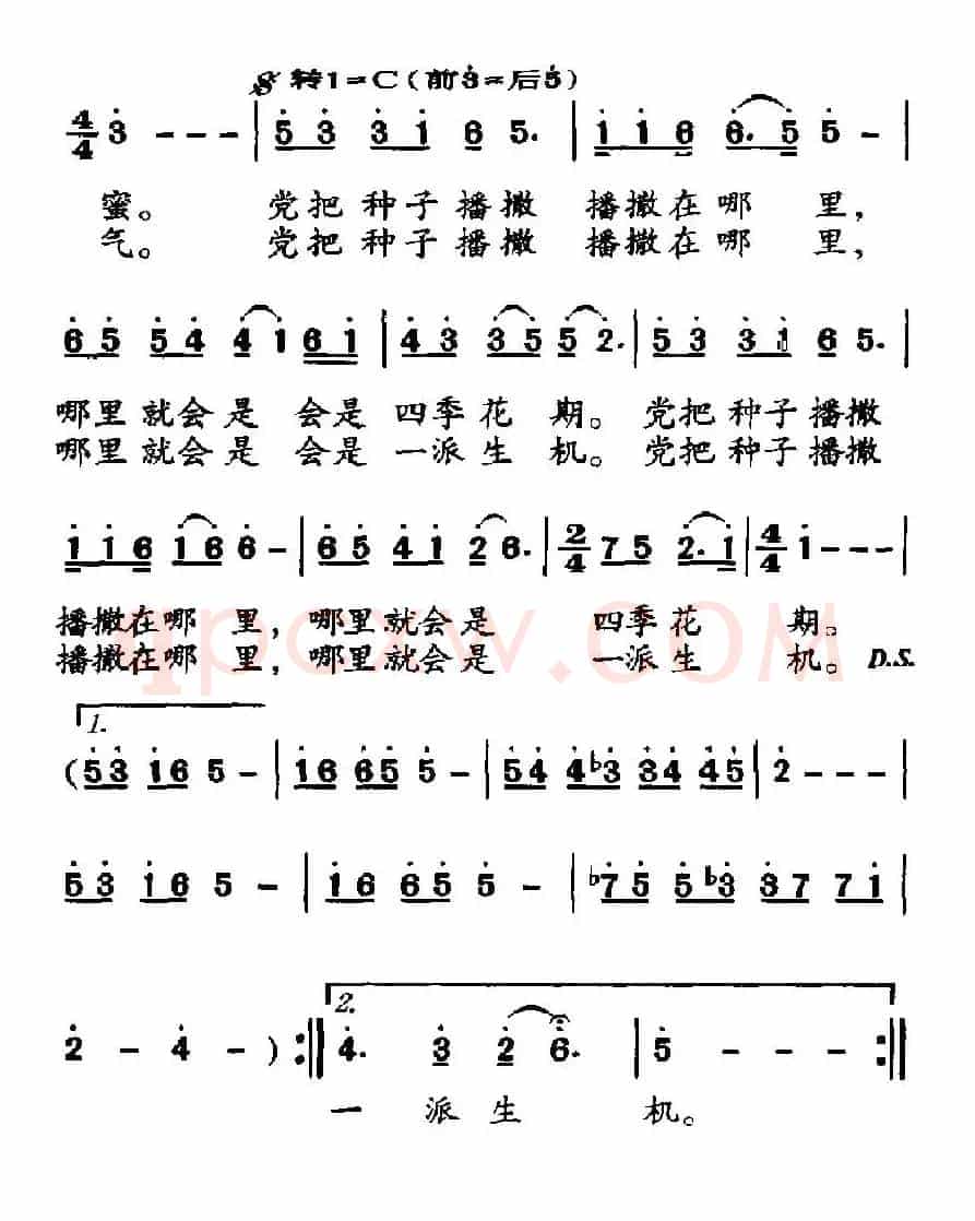 种子（赵严华词 金刚曲）