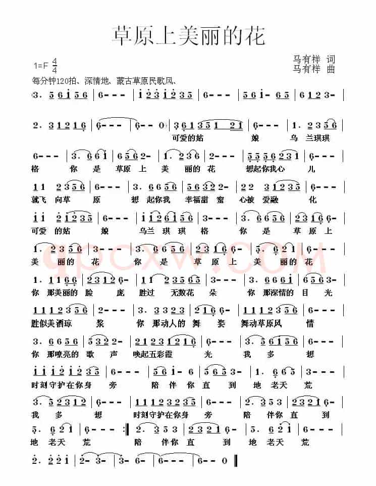 草原上美丽的花