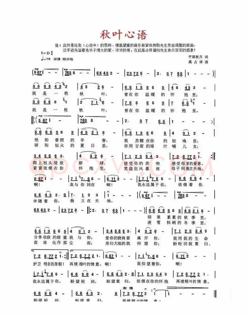 秋叶心语