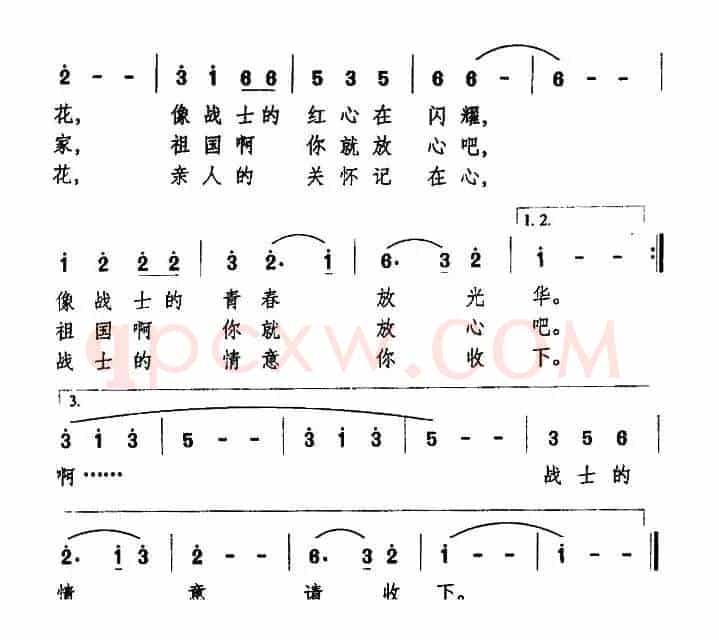 送你一朵珊瑚花