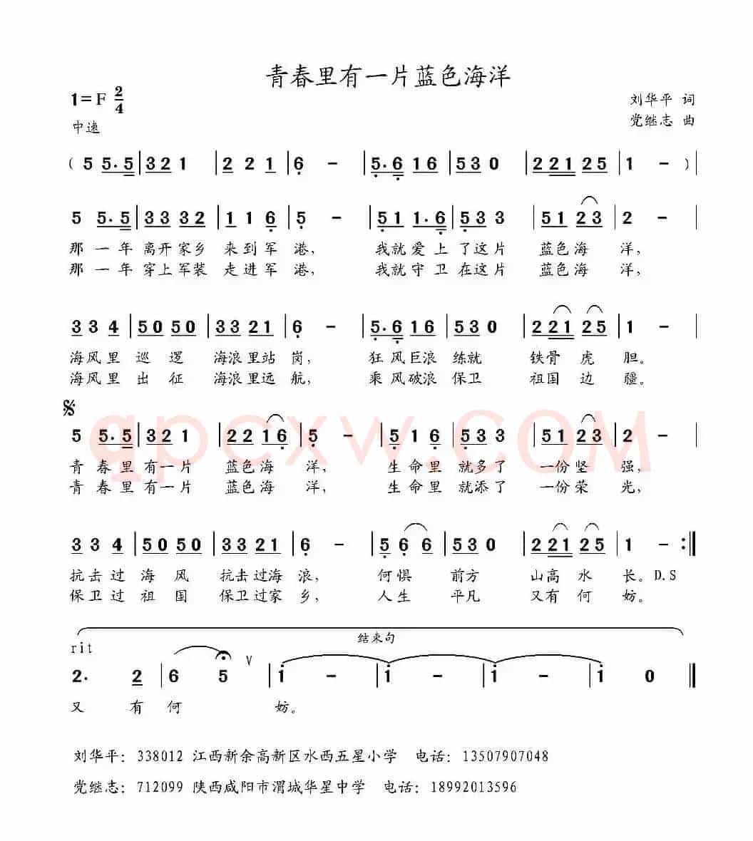 青春里有一片蓝色海洋