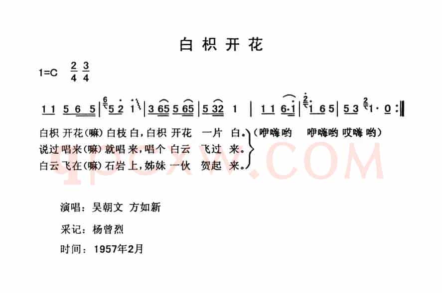 白枳花开