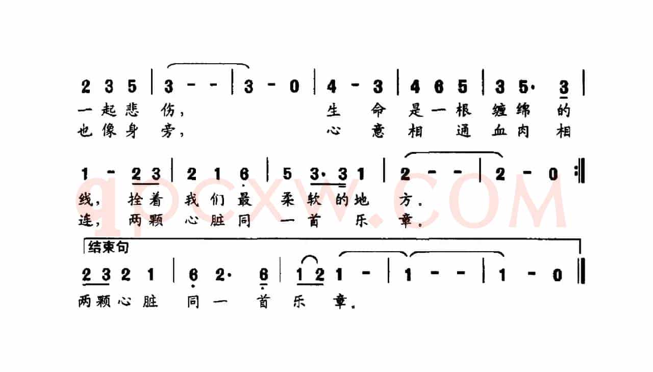 两颗心脏