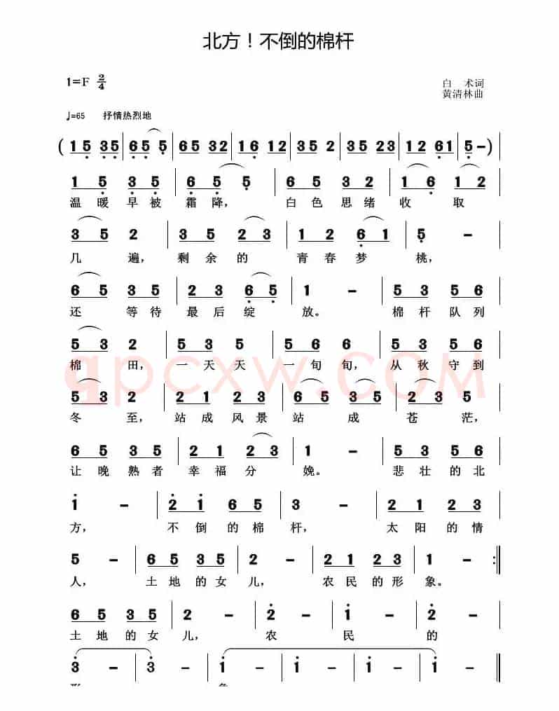 北方！不倒的棉杆
