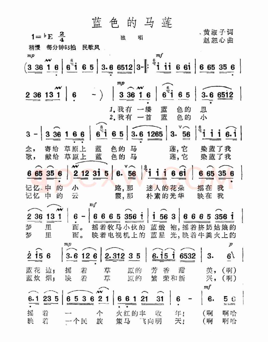 蓝色的马莲