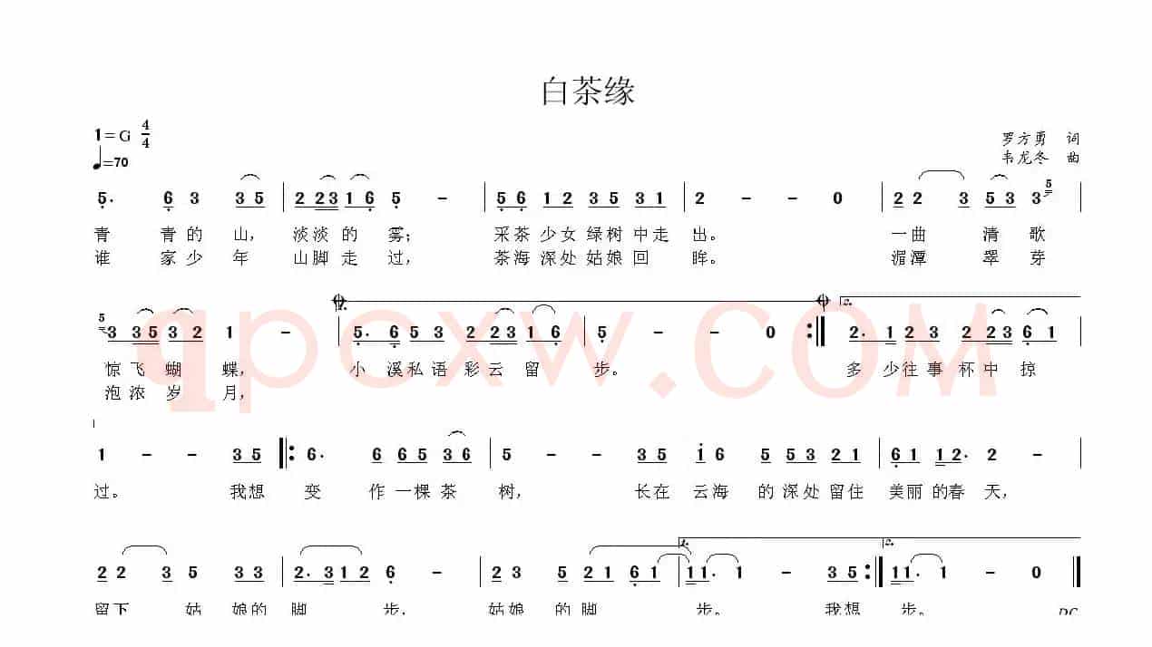 白茶缘