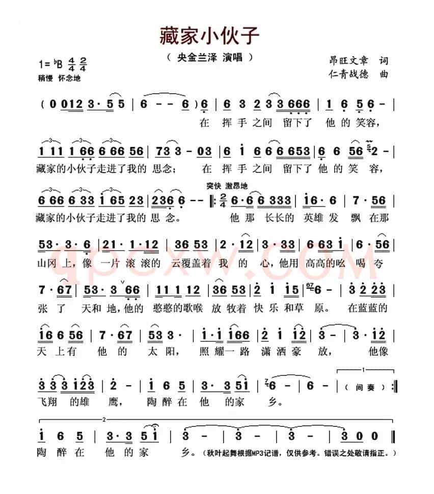 藏家小伙子