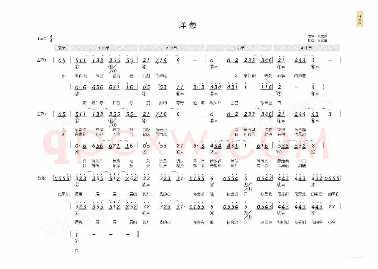 洋葱(简和谱)