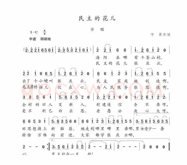 民主的花儿