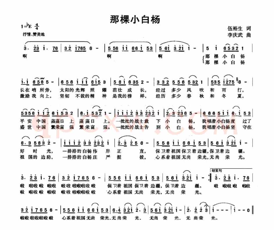 那棵小白杨