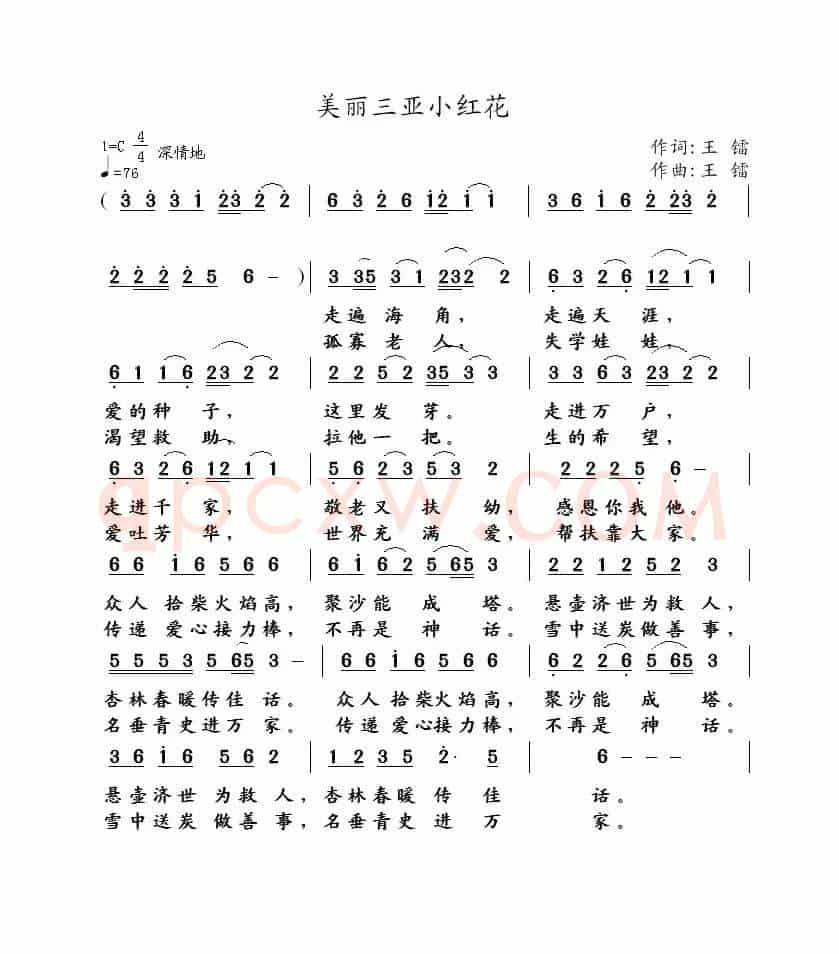 美丽三亚小红花