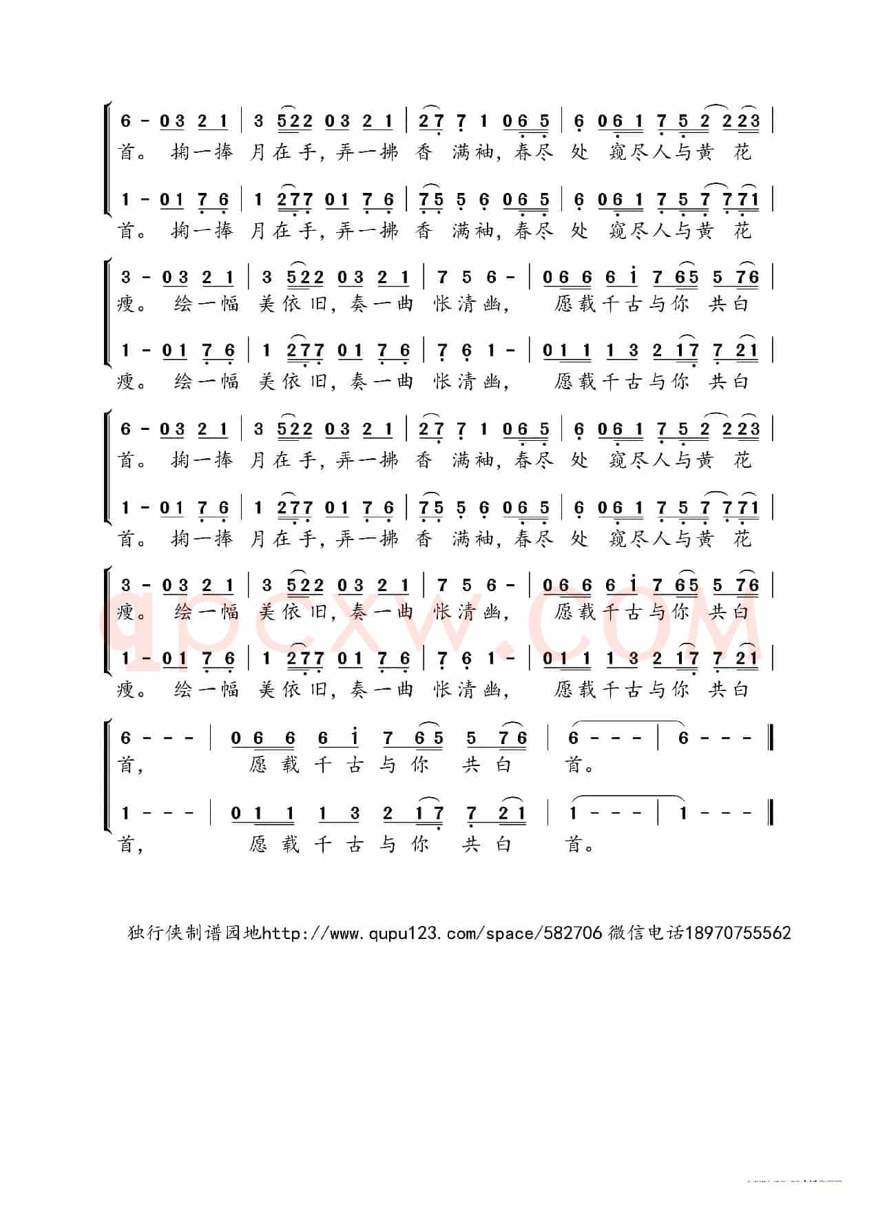 弄花（Sherry龙小葵&旧人）