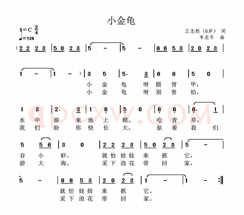 小金龟