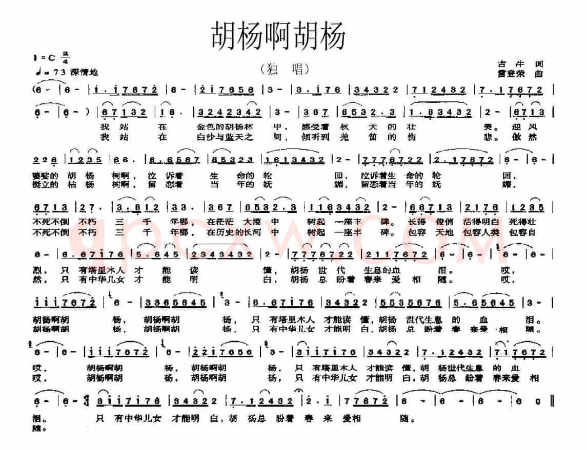 胡杨啊胡杨