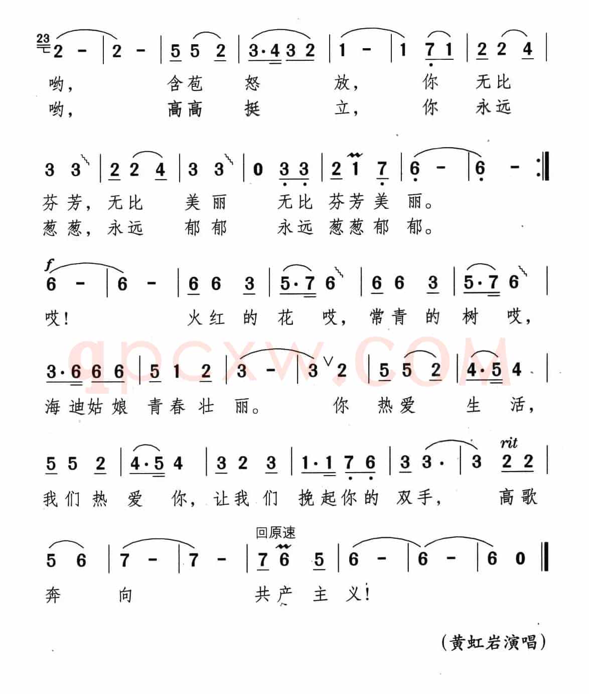 火红的花，常青的树