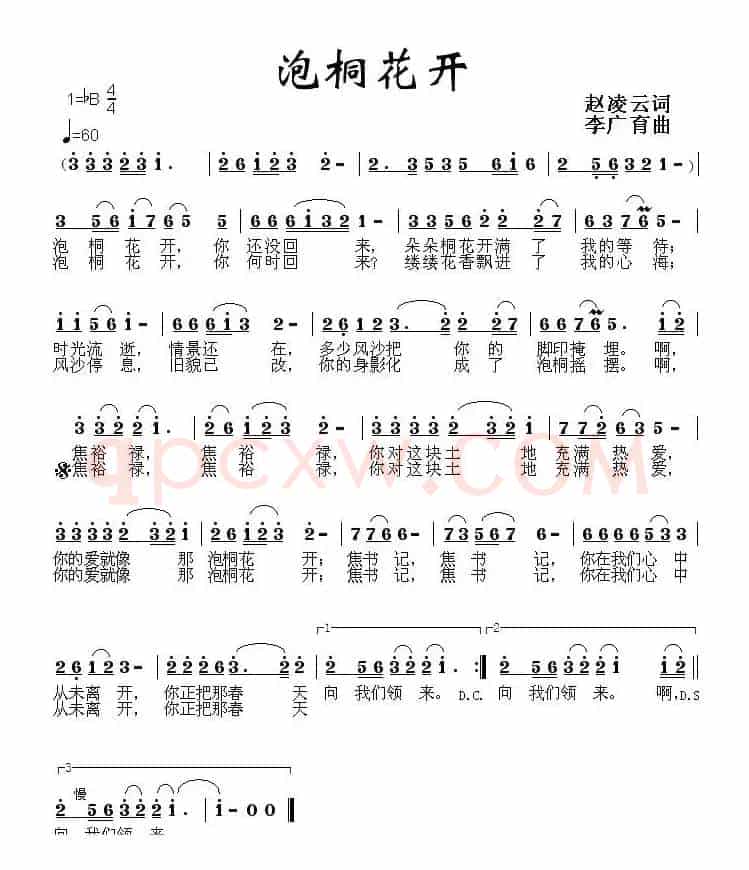 泡桐花开
