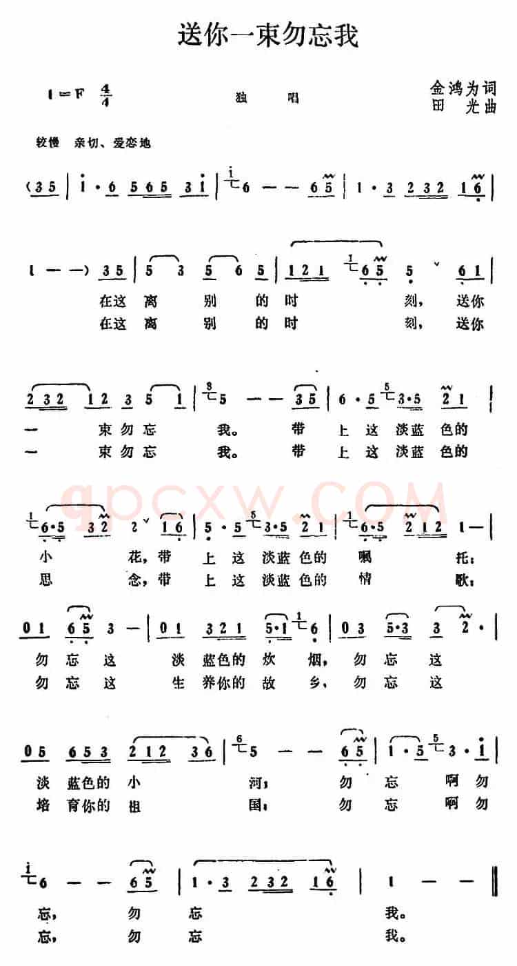 送你一束勿忘我（金鸿为词 田光曲）