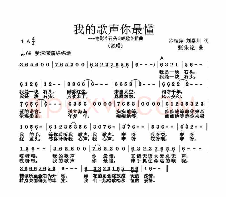 我的歌声你最懂