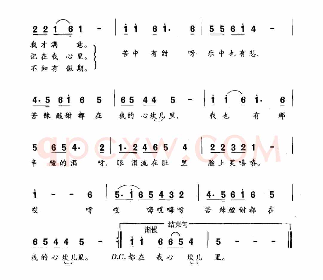 苦辣酸甜都在我的心坎儿里（总经理之歌）