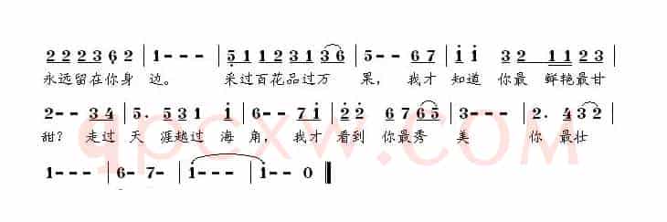 三沙之恋
