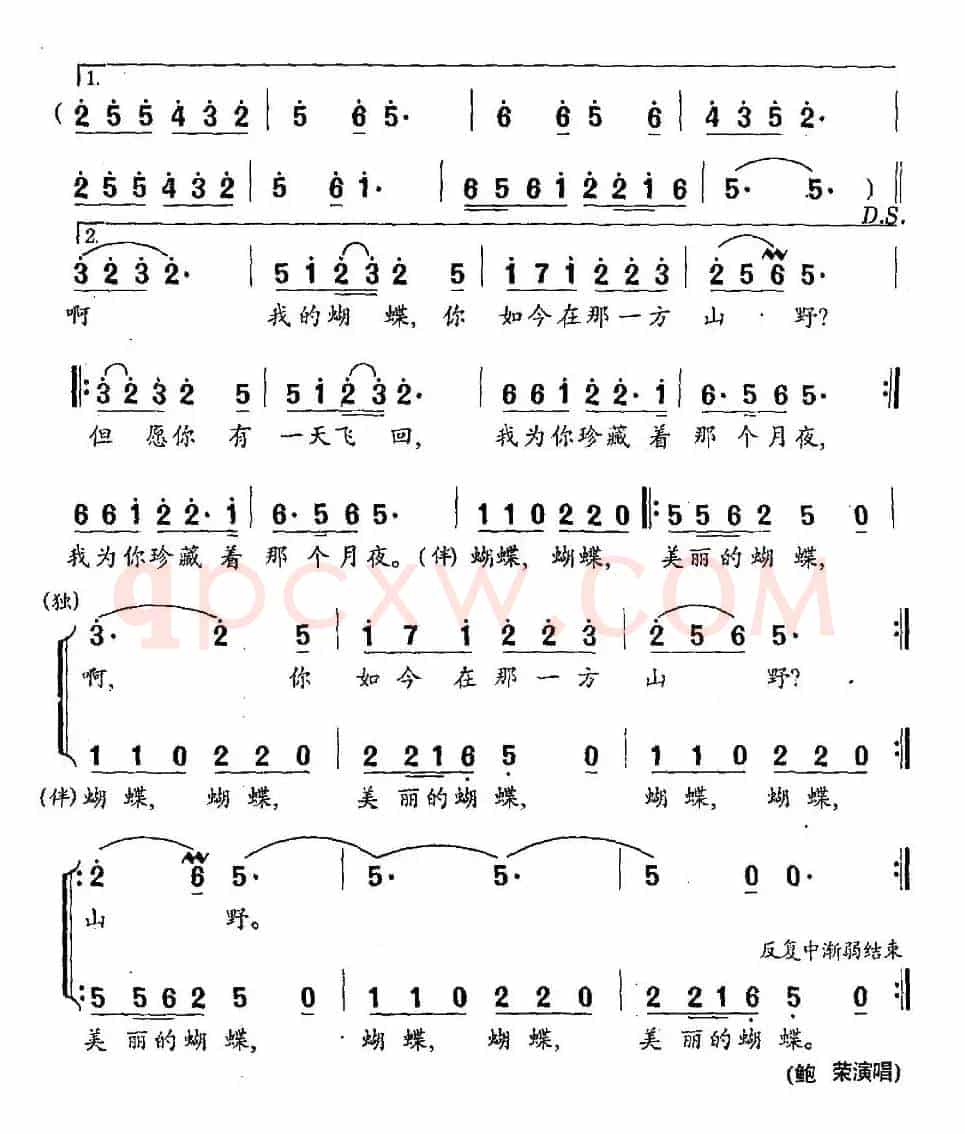 蝴蝶(程义浩词 印青曲)
