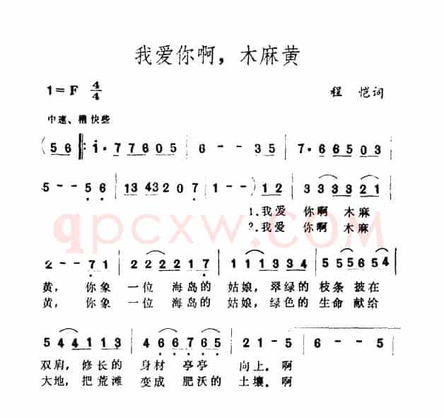 我爱你啊，木麻黄