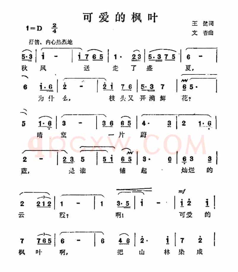 可爱的枫叶