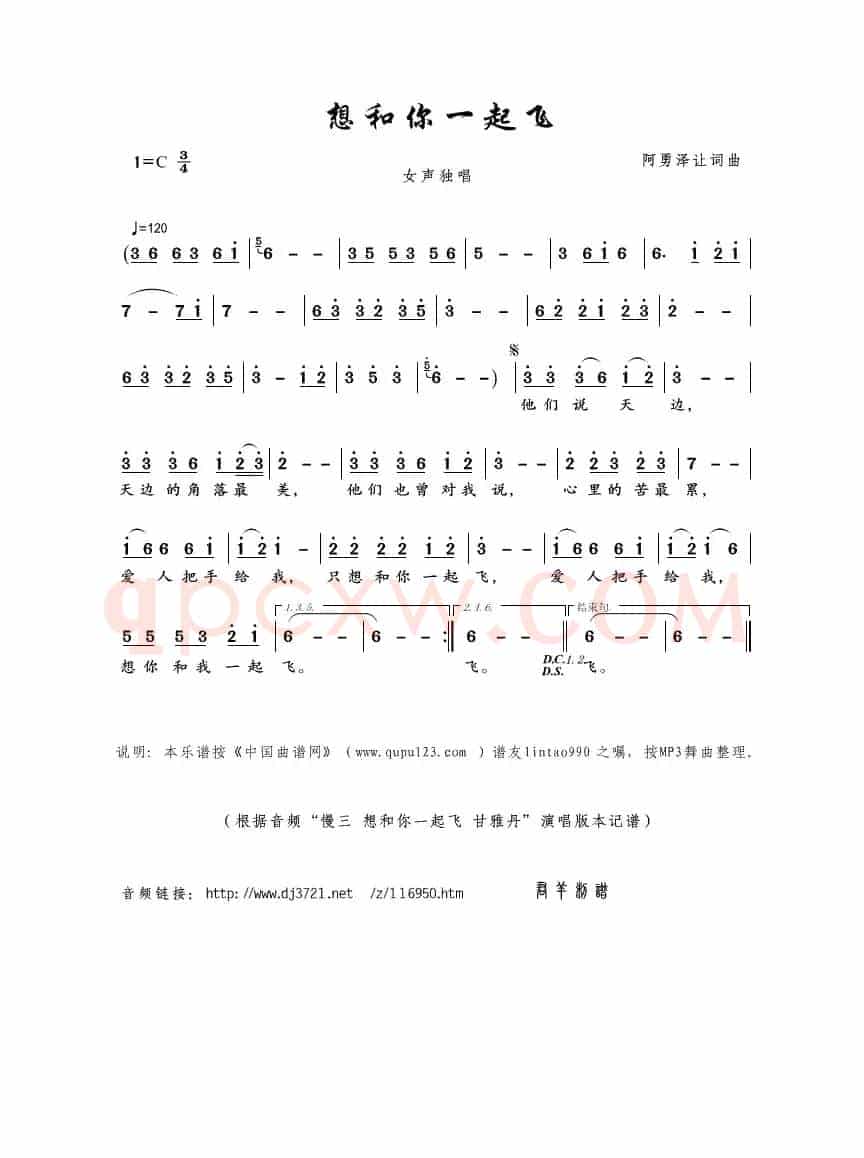 想和你一起飞（阿勇泽让词曲）