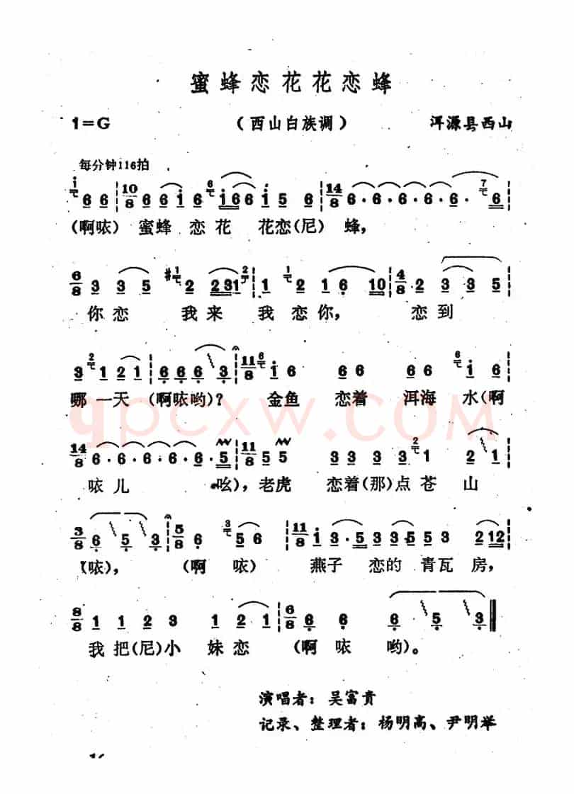 云南白族民歌：蜜蜂恋花花恋蜂