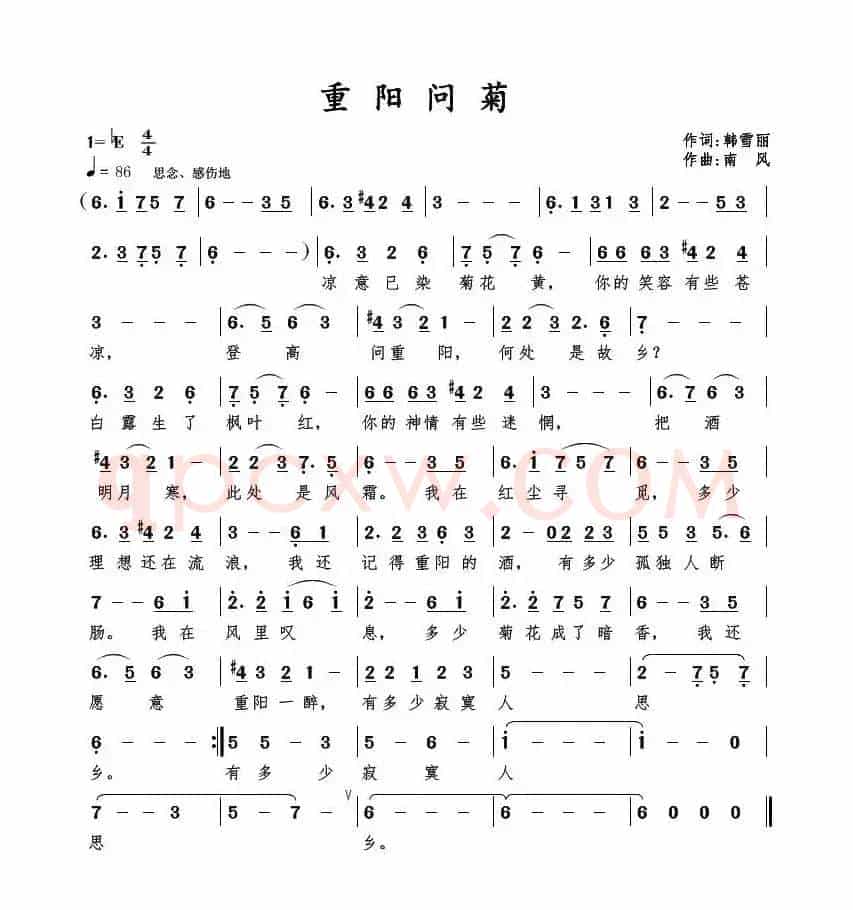重阳问菊