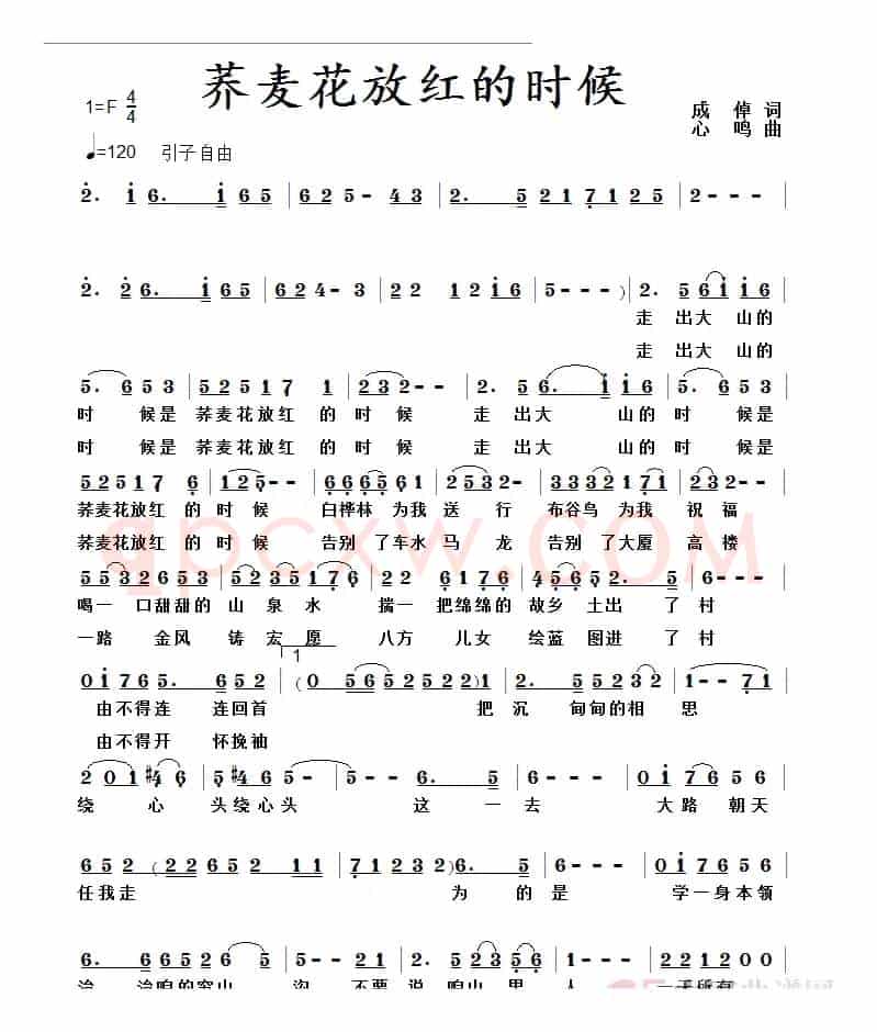 荞麦花放红的时候