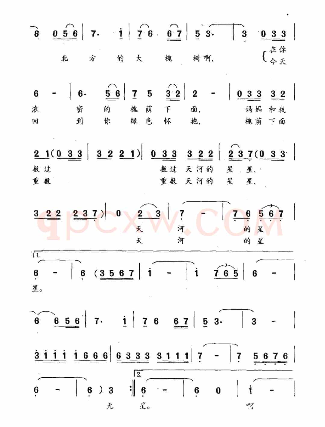 北方的大槐树（黎琦词 陈枫曲）