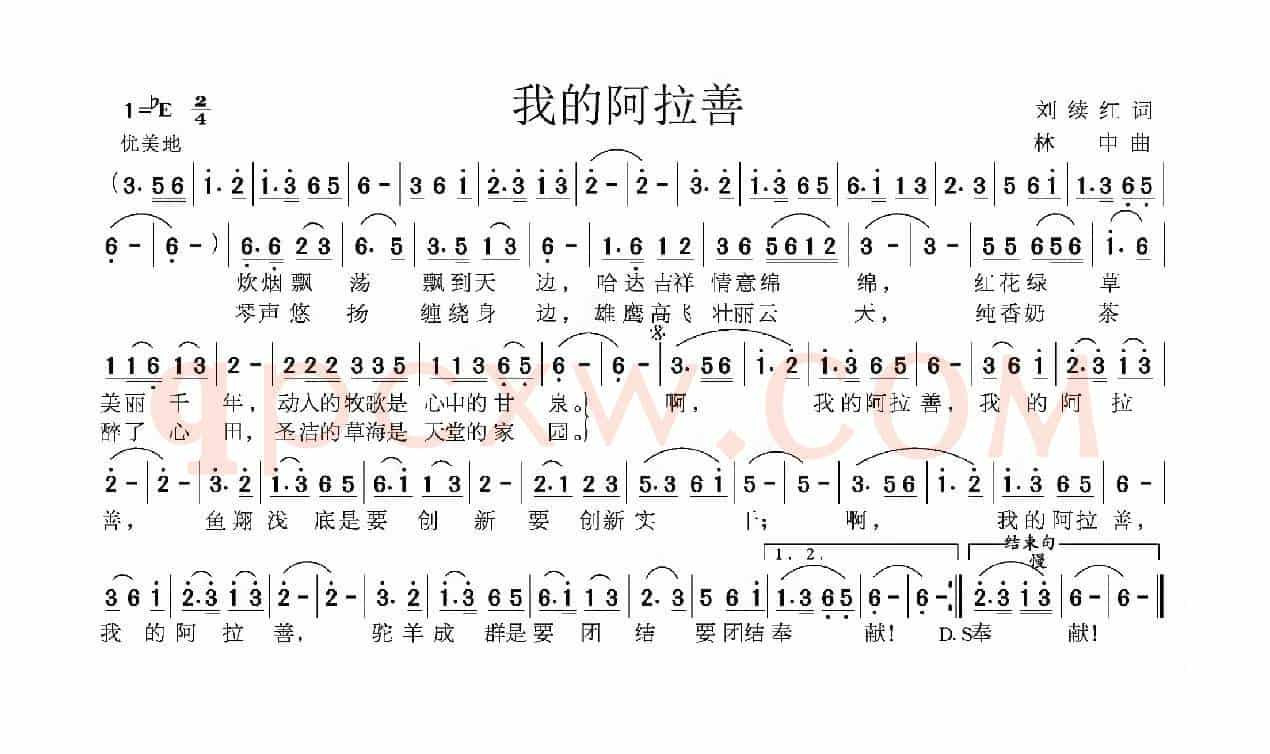 我的阿拉善