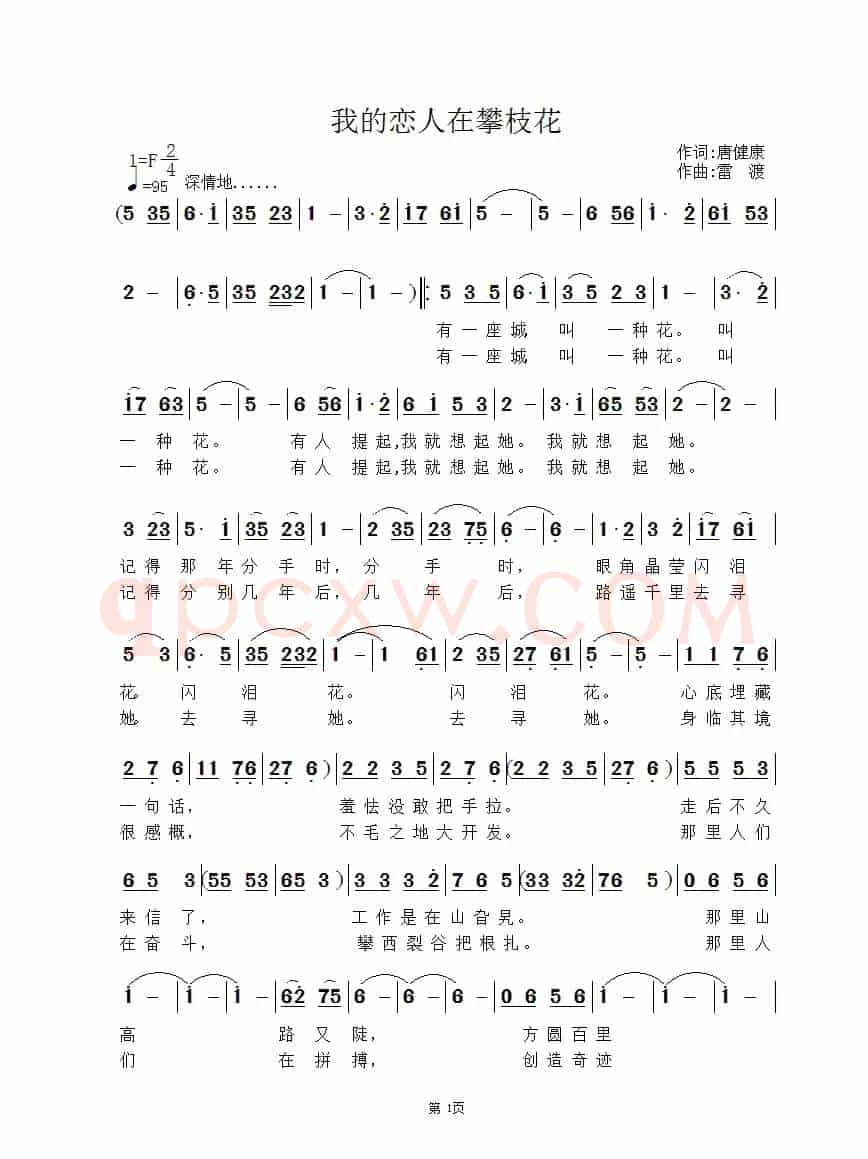 我的恋人在攀枝花