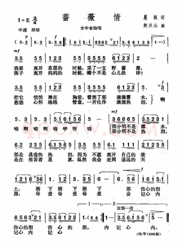 蔷薇情
