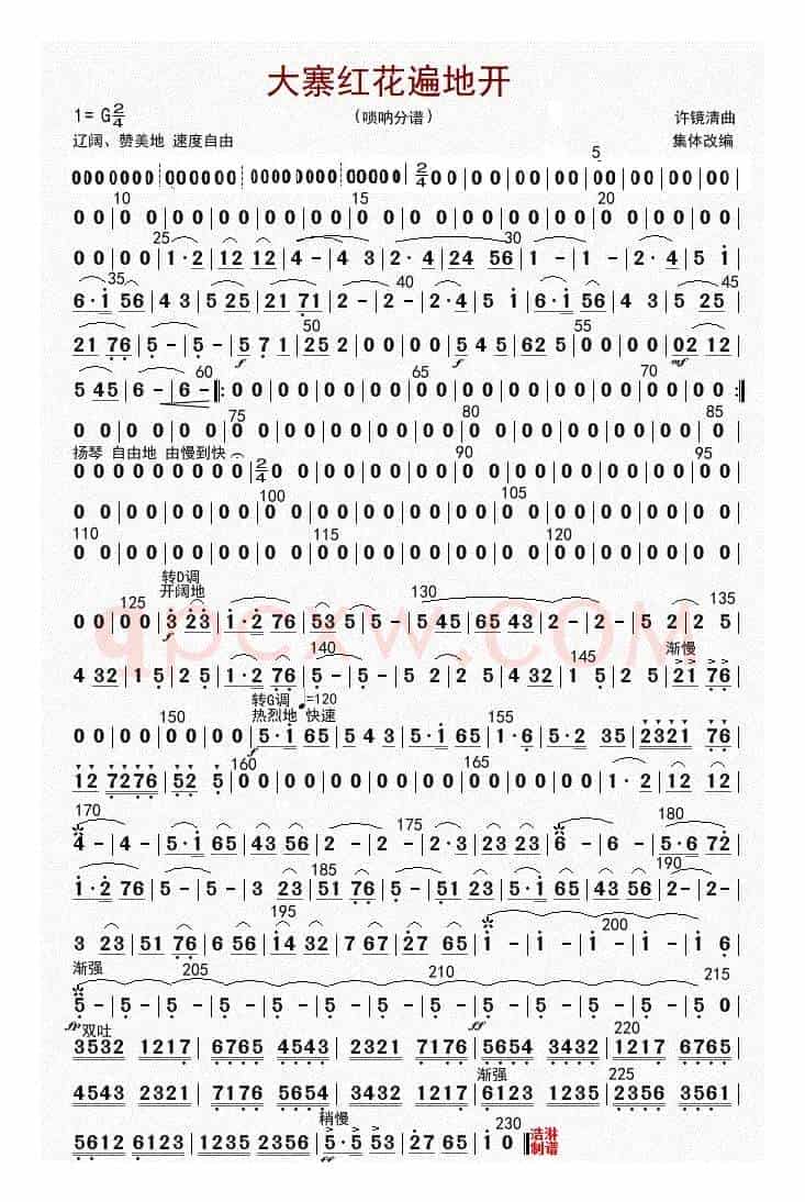 大寨红花遍地开（高音唢呐（修改版））