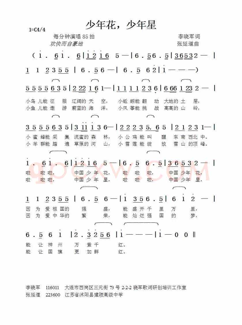 少年花，少年星（李晓军词张延道曲）
