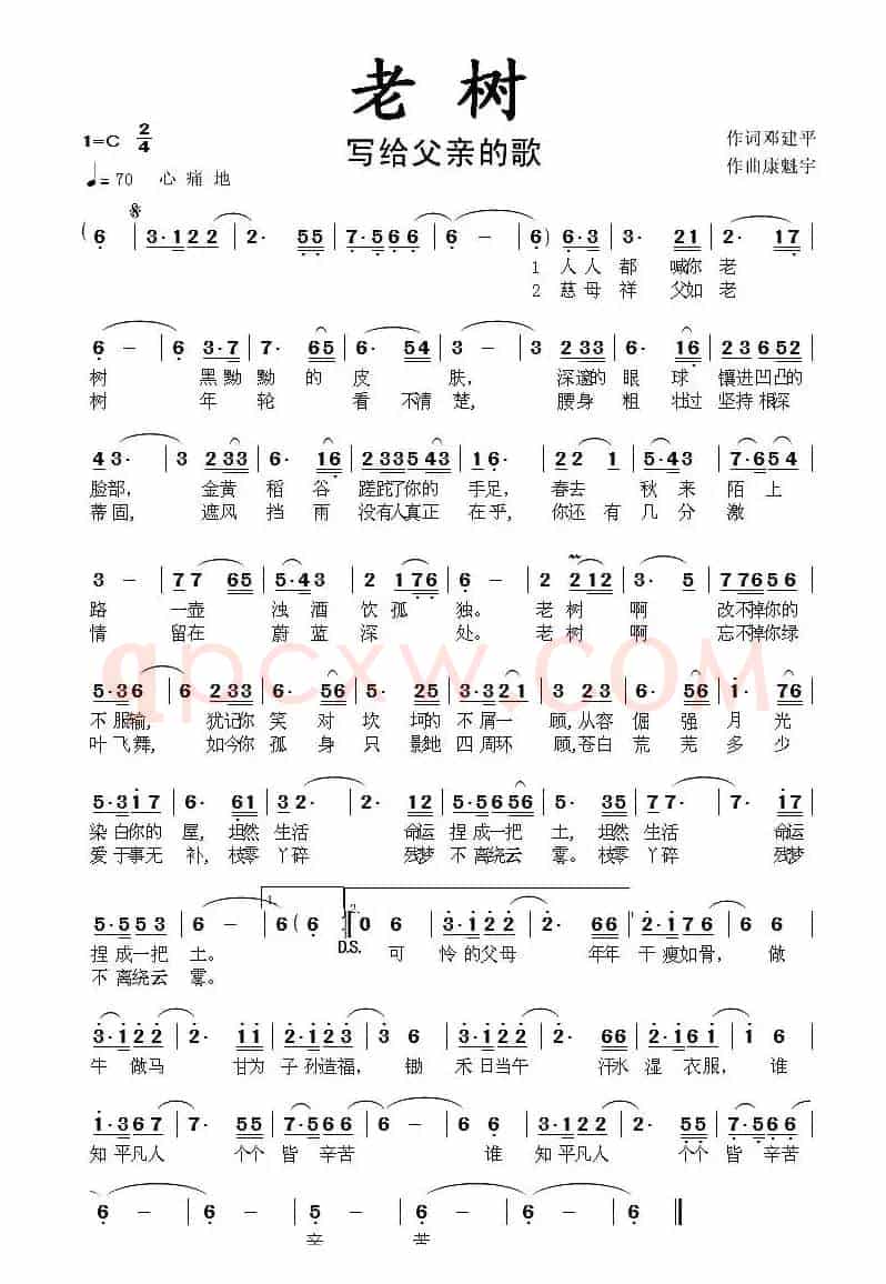老树（邓建平词 康魁宇曲）