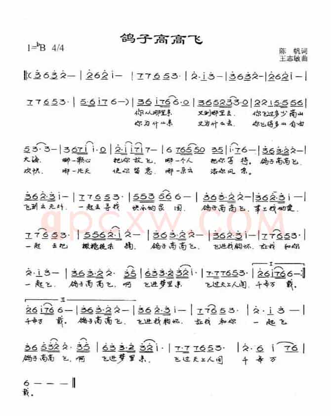 鸽子高高飞