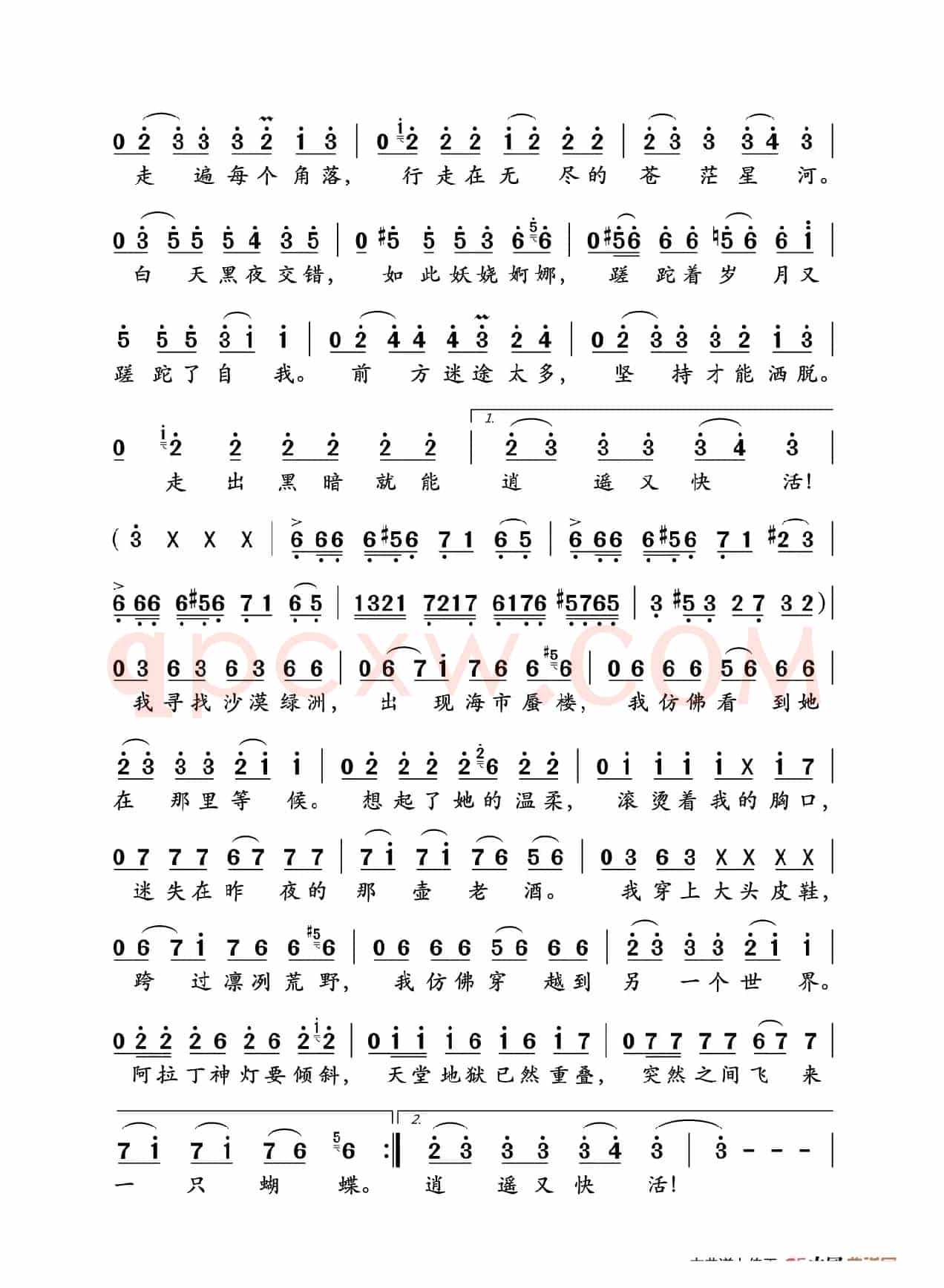 沙漠骆驼