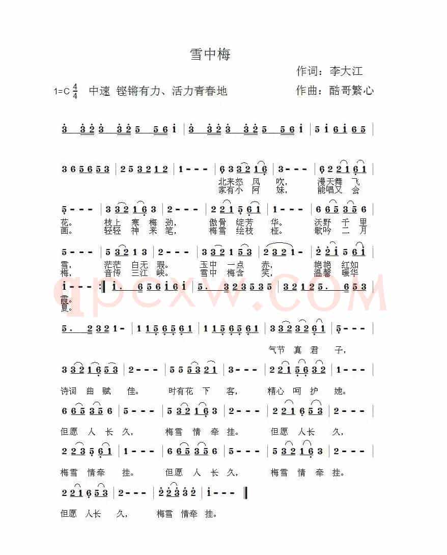 雪中梅（酷哥曲）