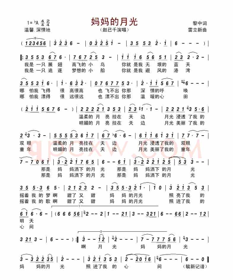 妈妈的月光