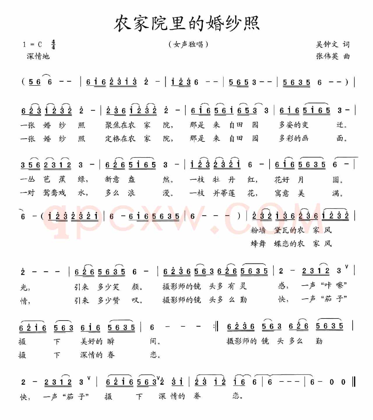 农家院里的婚纱照