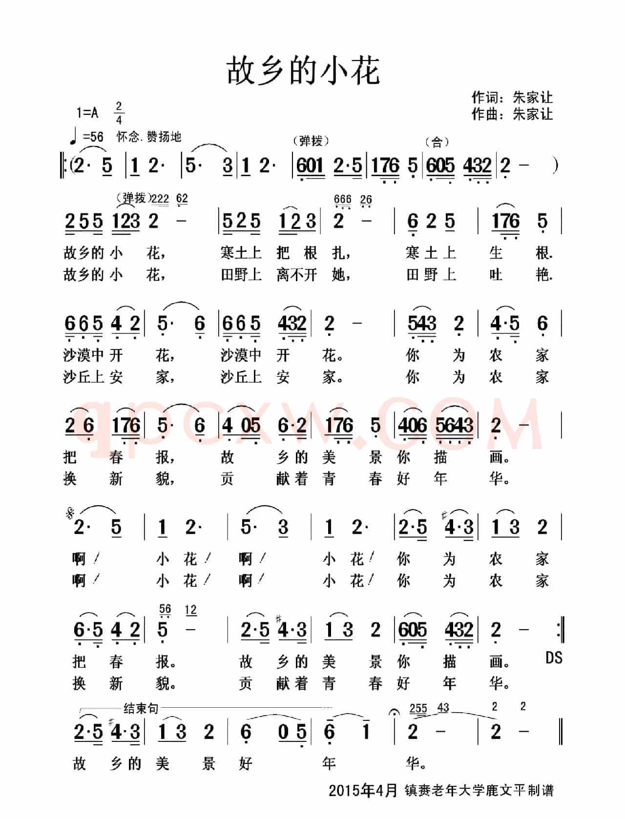 故乡的小花