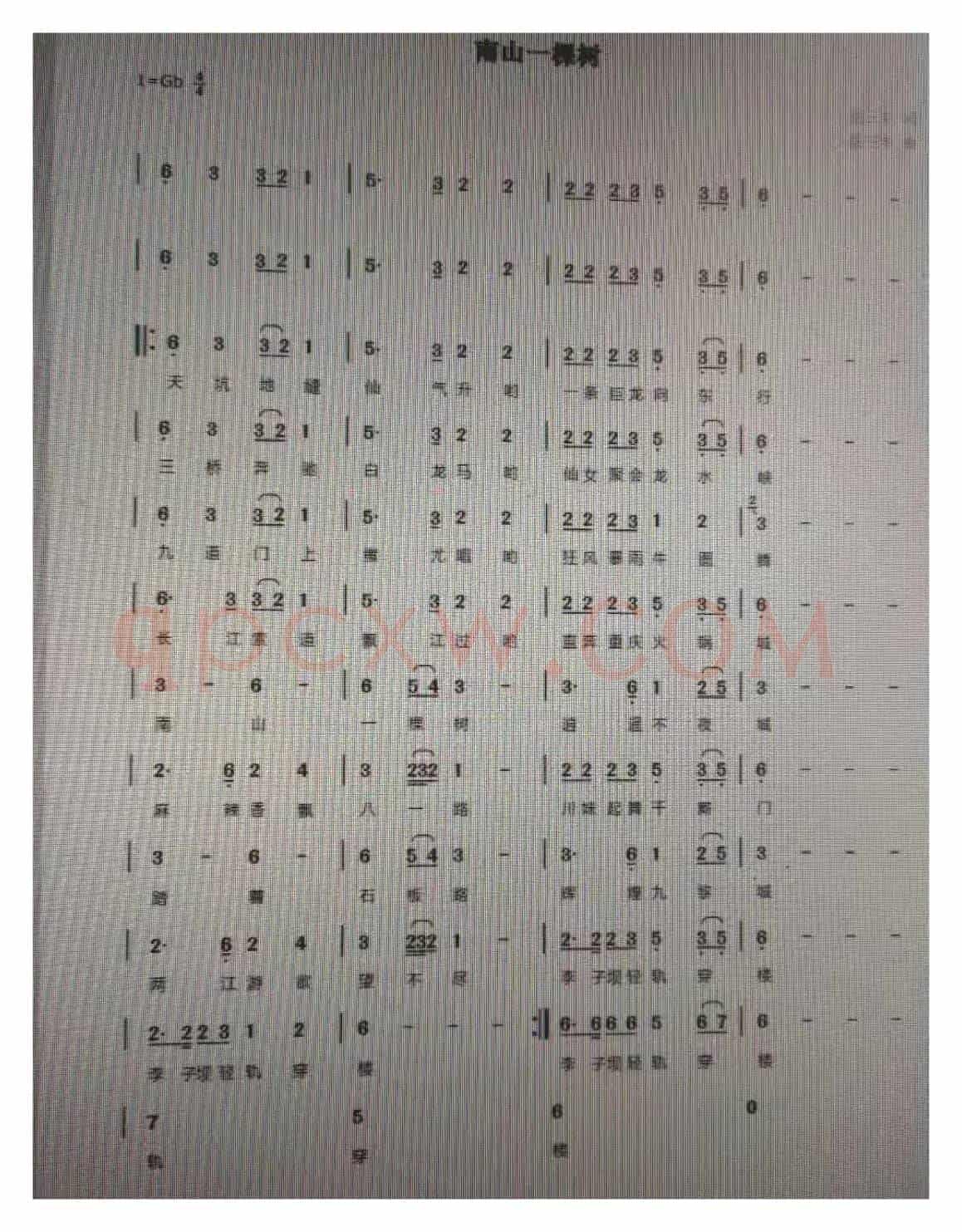 南山一棵树