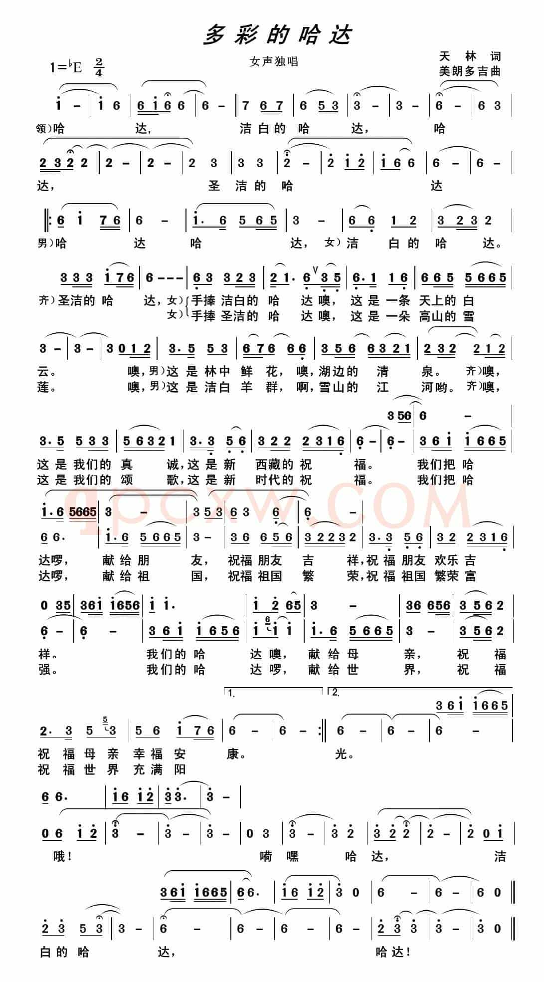多彩的哈达