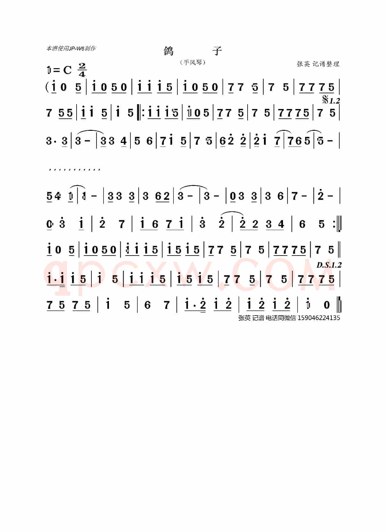 鸽子（手风琴）